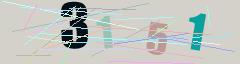CAPTCHA validation image