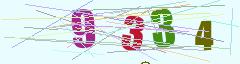 CAPTCHA validation image