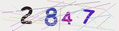 CAPTCHA validation image