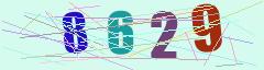 CAPTCHA validation image