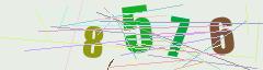 CAPTCHA validation image
