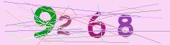 CAPTCHA validation image