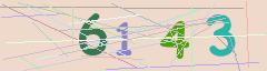 CAPTCHA validation image
