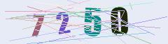CAPTCHA validation image