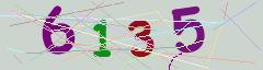 CAPTCHA validation image
