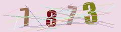 CAPTCHA validation image