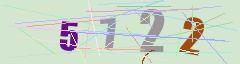CAPTCHA validation image