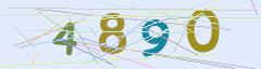 CAPTCHA validation image