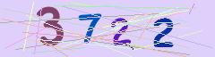 CAPTCHA validation image