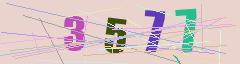 CAPTCHA validation image