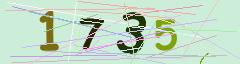 CAPTCHA validation image