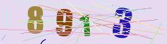 CAPTCHA validation image
