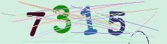 CAPTCHA validation image