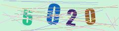 CAPTCHA validation image