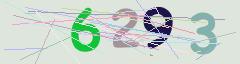 CAPTCHA validation image
