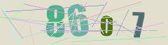 CAPTCHA validation image