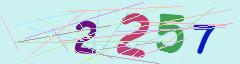CAPTCHA validation image