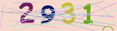 CAPTCHA validation image