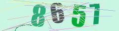 CAPTCHA validation image