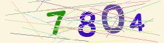 CAPTCHA validation image