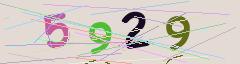 CAPTCHA validation image