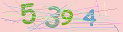 CAPTCHA validation image