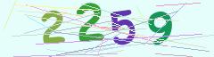 CAPTCHA validation image