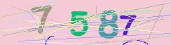 CAPTCHA validation image