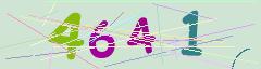CAPTCHA validation image