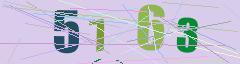 CAPTCHA validation image