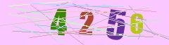 CAPTCHA validation image