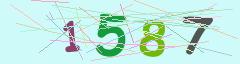 CAPTCHA validation image