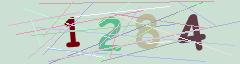 CAPTCHA validation image