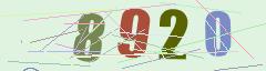 CAPTCHA validation image
