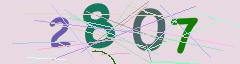 CAPTCHA validation image