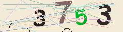 CAPTCHA validation image