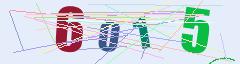 CAPTCHA validation image