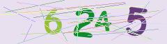CAPTCHA validation image
