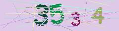 CAPTCHA validation image