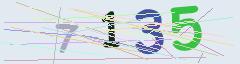 CAPTCHA validation image