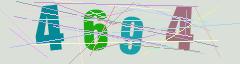 CAPTCHA validation image