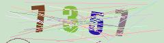 CAPTCHA validation image