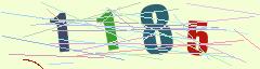 CAPTCHA validation image