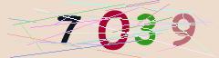 CAPTCHA validation image