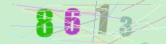 CAPTCHA validation image