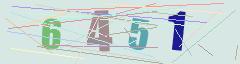 CAPTCHA validation image