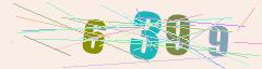 CAPTCHA validation image