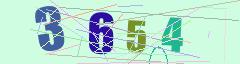 CAPTCHA validation image