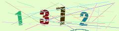 CAPTCHA validation image