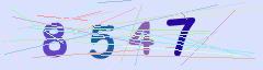 CAPTCHA validation image